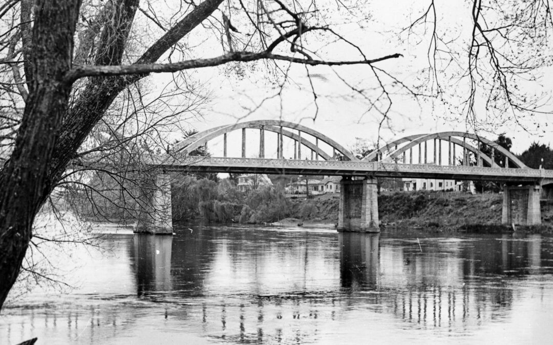 Preserving Hamilton’s Photographic Heritage