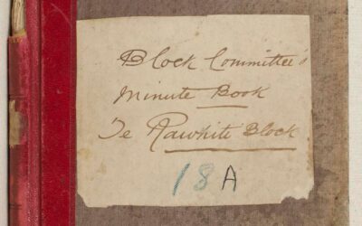 Safeguarding Taonga: The Enduring Story of the Papatupu Minute Books
